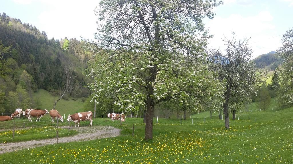 Eggbauer Villa Sankt Anton an der Jessnitz Eksteriør bilde